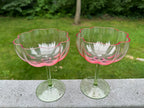 Green and pink floral champagne coupe glasses - image 3